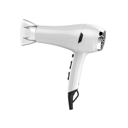 AC motor powerful hair dryer
