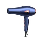 Foldable AC motor hair dryer