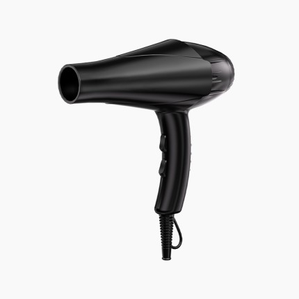 AC motor ion hair dryer
