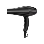 AC motor ion hair dryer