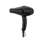 AC motor ion hair dryer