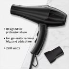 AC motor ion hair dryer