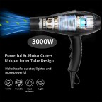 AC motor ion hair dryer