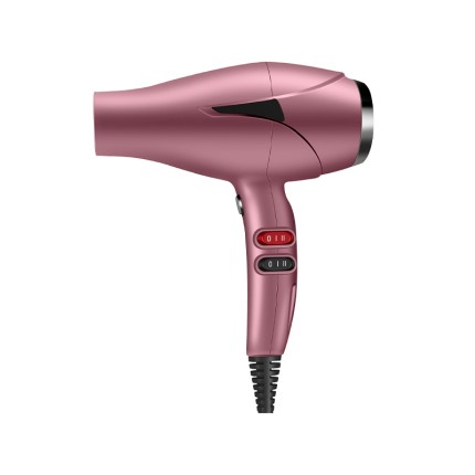 Extreme Protection Ion Salon Hair Dryer