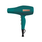 Infrared negative ion professional salon hair dryer