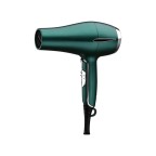Lightweight and portable ion hair dryer