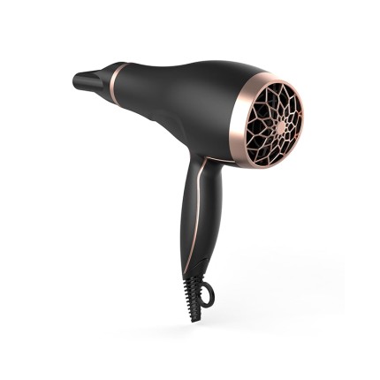 High-speed ion hair dryer