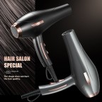 Constant temperature high speed electric hair dryer