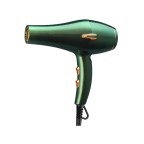 Quiet Hair Care Salon Hair Dryer
