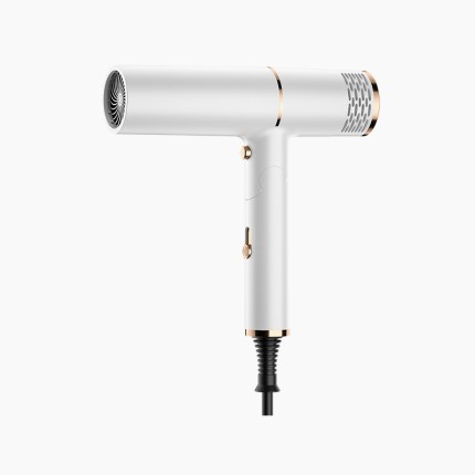 High Speed ​​Foldable Portable Professional Salon Hair Dryer