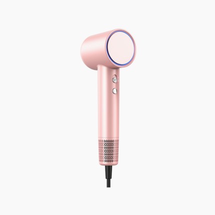 Professional 1800W ion hair care hair dryer