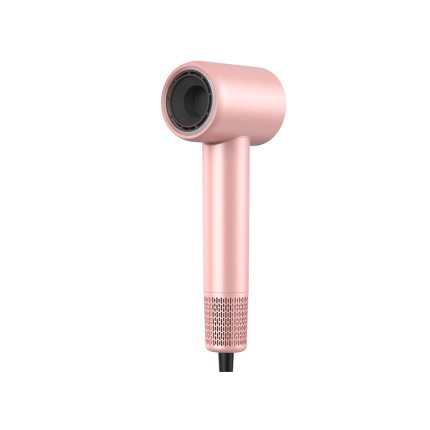 Professional 1800W ion hair care hair dryer