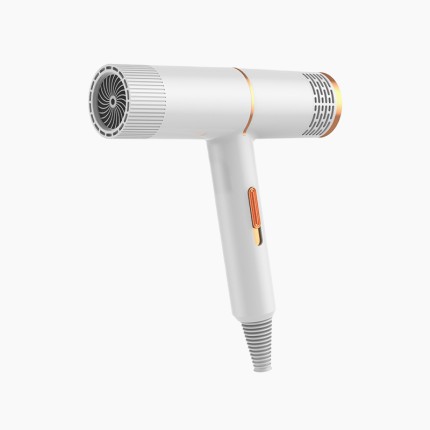 Ultra-quiet high-speed professional salon hair dryer