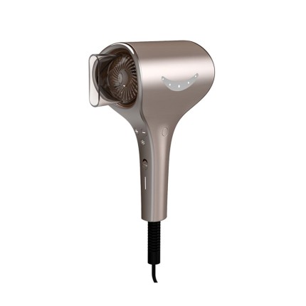 Smile Style Professional Salon Hair Dryer