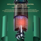 Temperature controlled negative ion hair dryer
