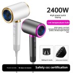 High-power professional ion hair dryer